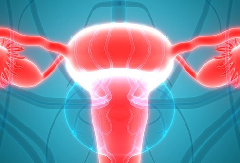 Salpingectomy