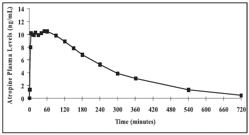 Mean Pralidoxime Plasma Concentrations After
a Single DuoDote Intramuscular Injection - Illustration