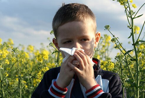 Allergies can cause inflammation and contribute to ear infections by interfering with the Eustachian tube's ability to let air pass into the middle ear.