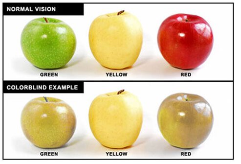Being colorblind means, you do not see colors normally.