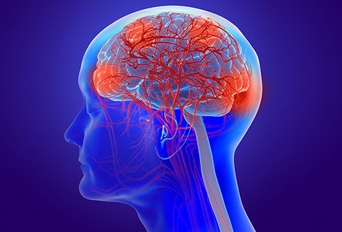 There are various types of encephalopathies. 