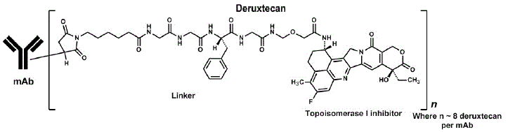 ENHERTU® (fam-trastuzumab deruxtecan-nxki) Structural Formula Illustration