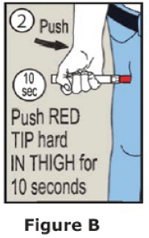 Press down hard and hold firmly against the thigh for approximately 10 seconds to deliver the medicine - Illustration