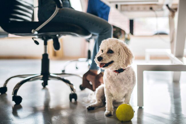 Make sure you have plenty of leg room for your office ergonomics.