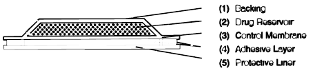 The Estraderm system comprises four layers - Illustration