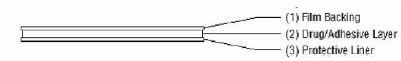 Layers of the Climara transdermal system - Illustration