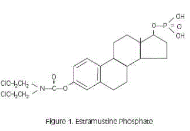 Estramustine phoshate - Illustration