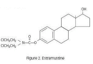 Estramustine - Illustration