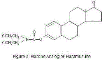 Estrone analog Of Estramustine - Illustration