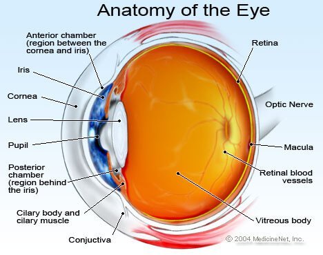 Eyeball Illustration - Cataracts