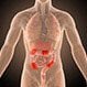 Is Crohn's Disease Contagious?