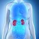 Kidney Pain: Symptoms, Treatment, and Causes