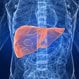 Liver Disease