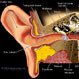 Noise-Induced Hearing Loss and Its Prevention