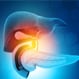 What Is the Function of Bile?
