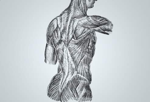 However, there are no specific diagnostic tests for of fibromyalgia, which may cause doctors difficult challenges while trying to obtain a during diagnosis.