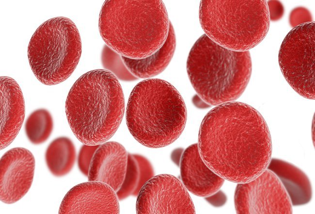 what is hematopoiesis and where does it occur