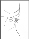 Injection should be fully inserted to the hub of the needle, at an angle of 90°to the skin surface - Illustration