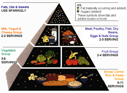 Picture of the Food Pyramid