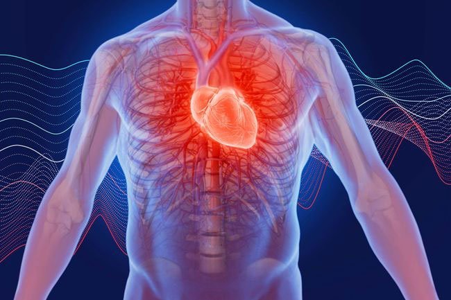 Potassium is an important mineral that is necessary for your heart, muscles, and all of your cells to work properly.
