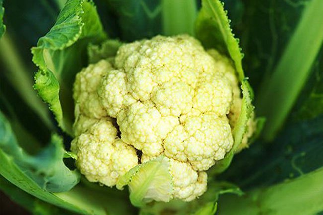 Roast cauliflower to retain its nutritional value.
