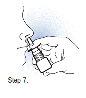 Using Fortical Nasal Spray - Illustration