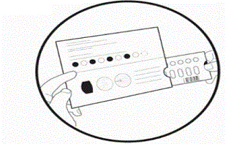 Grasp the tab on the right side of the blister
card where it says, “PULL OUT HERE” and pull out the folded blister card - Illustration