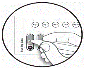 Front of the blister card - Illustration
