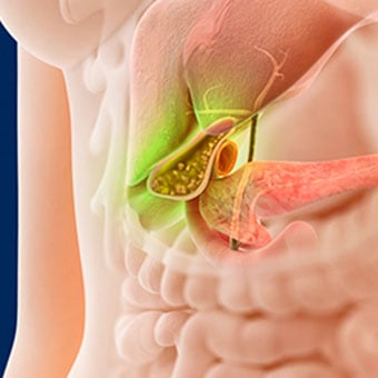 Alt TextThe gallbladder, located beneath the liver, produces bile.