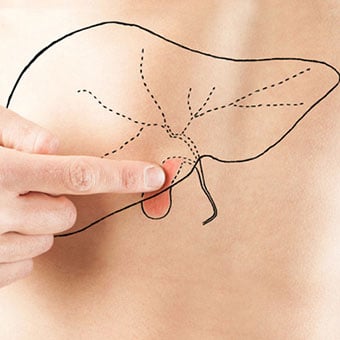 A male adult pointing to a liver outline and painted a gallbladder on his abdomen.