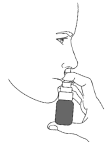 Using the GIMOTI nasal spray - Illustration