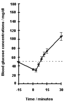 Recovery from Insulin Induced Hypoglycemia - Illustration