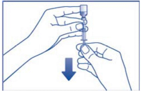 Firmly hold the vial and syringe together,
with the needle still inserted into the vial - Illustration