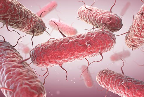 Group B strep bacteria can cause infections in a pregnant woman and her baby.