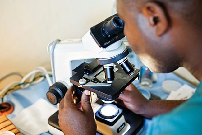Most testicular cancer starts in germ cells, which make sperm.