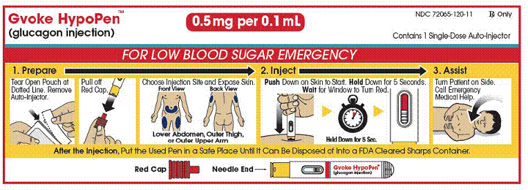 Pediatric GVOKE HypoPen (0.5 mg dose) - Illustration