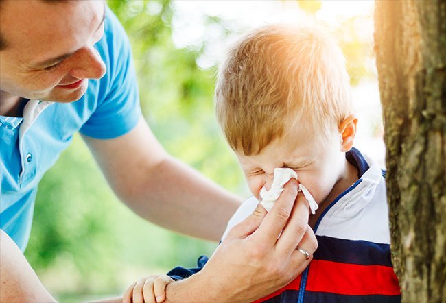 what months are allergy season