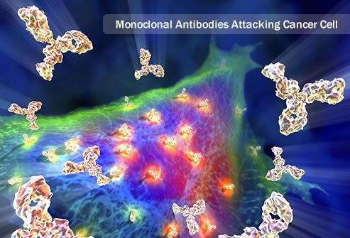 Antibody therapy may be used to treat pharyngeal cancer.