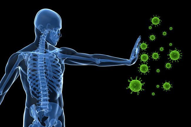 Good gut health improves the function of your immune system.