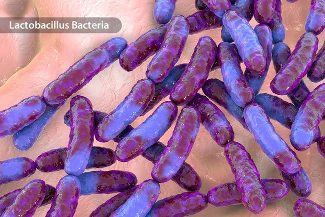 Fermented foods help encourage healthy gut microflora.