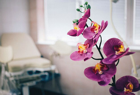 Taking a bouquet of flowers or potted foliage to a loved one in the hospital can be more than just a thoughtful gesture.