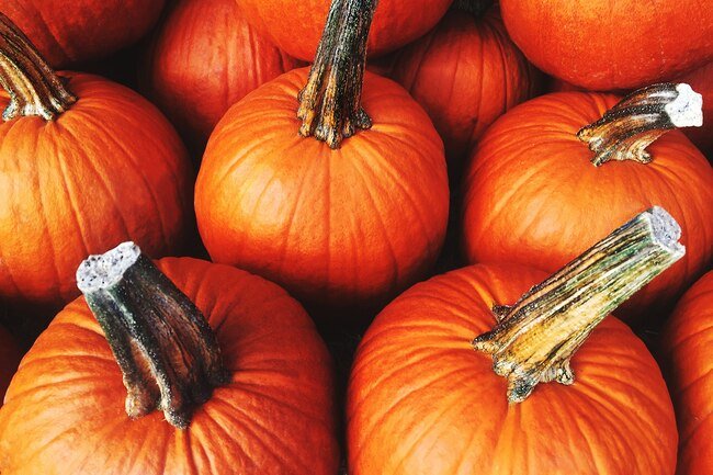 With all the goodness pumpkins offer, surely an extra-large pumpkin spice latte with a pumpkin muffin can't hurt.