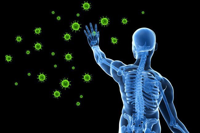 Vitamins, minerals and magnesium in spinach help boost your immune system. 