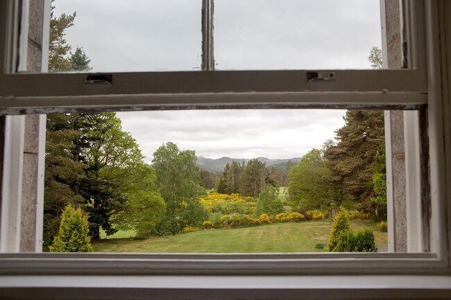 Open a door or window to the outside if a bat comes into the house.