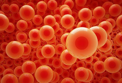 Hemoglobin is the iron-based molecule type that gives blood its red color and ferries oxygen to the rest of the body.