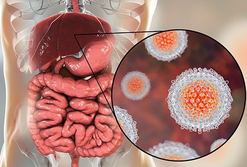 Viral infections are the most common cause of hepatitis.