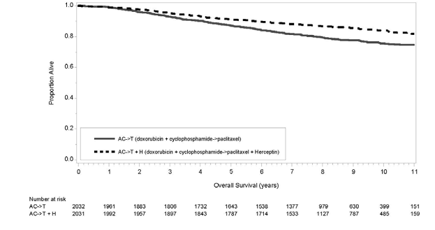 Duration of
Overall Survival in Patients with Adjuvant Treatment of Breast Cancer  - Illustration