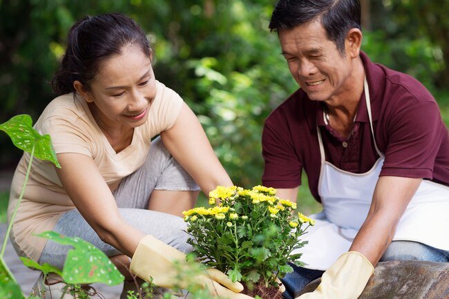 Making a wrong move or simple aging may cause a herniated disk.