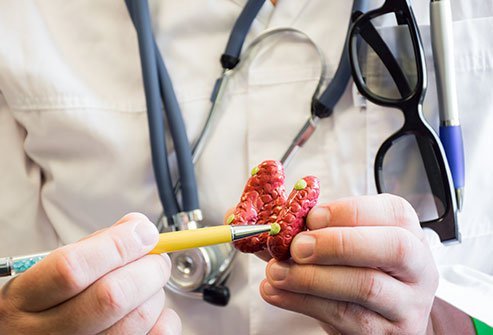 Parathyroid glands are four tiny structures located within the neck.
