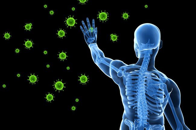 Taking a vacation may improve your adrenal health and boost your immune system.